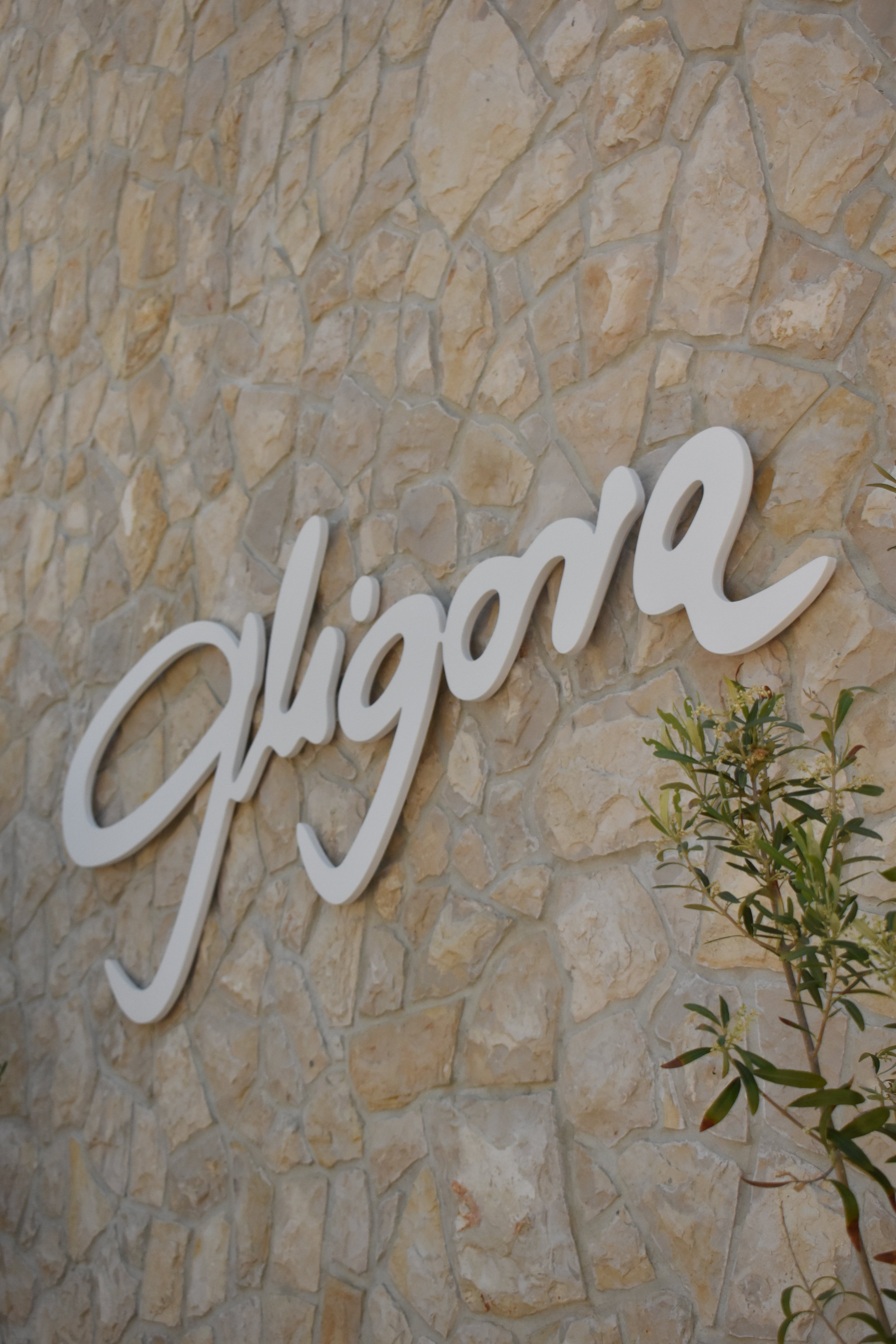 The stylized white script logo of "Gligora" is mounted on a textured wall made of irregular, light tan stones. A small green plant branch is softly blurred in the lower right foreground.