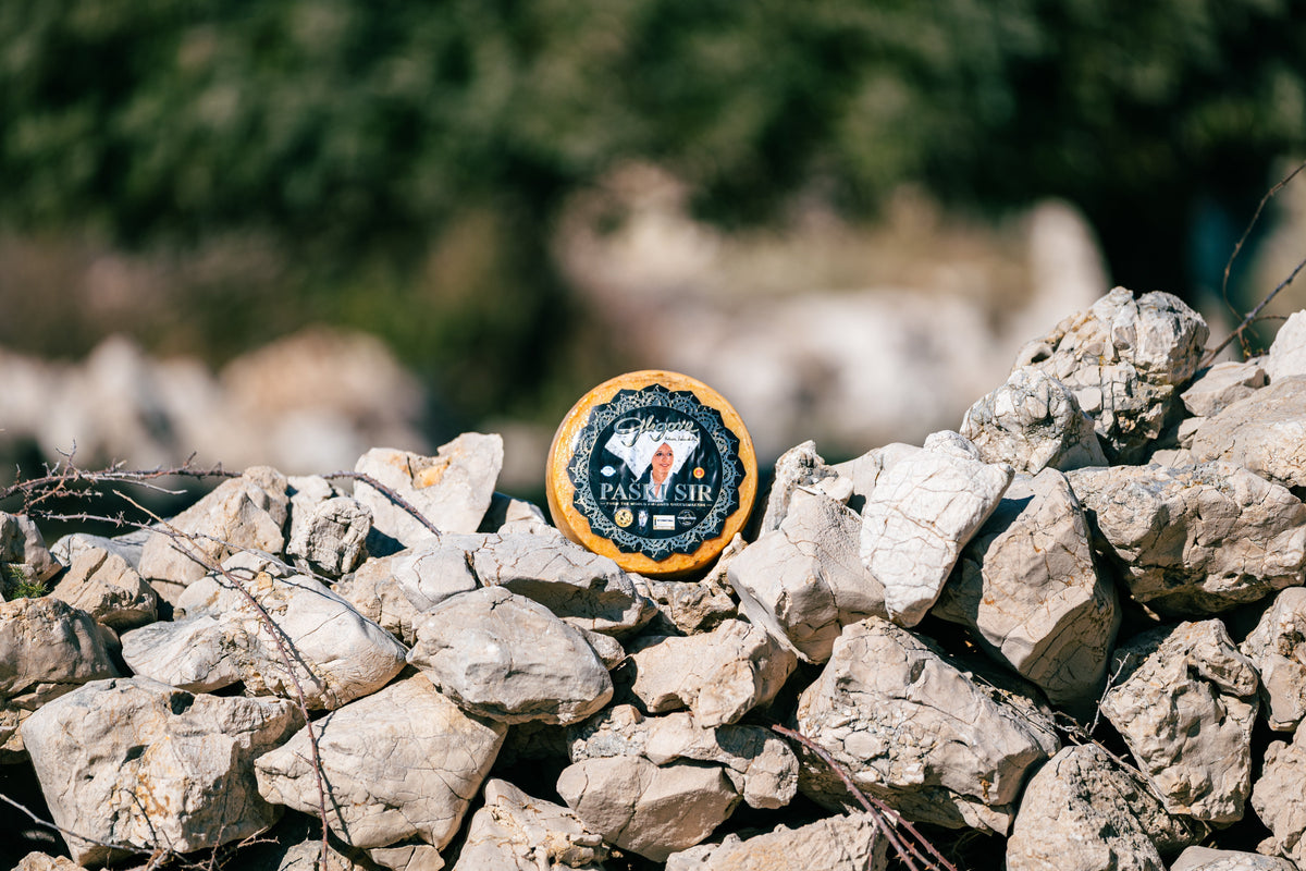A whole wheel of yellow-rinded Paški sir cheese with a prominent black label is nestled on top of a traditional limestone dry-stone wall. The background features a softly blurred view of green trees and foliage in bright, natural daylight.