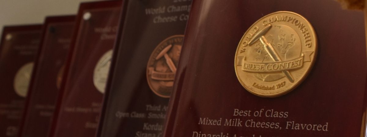 From Pag's Karst to the Global Throne: The Complete Awards and Recognitions of Sirana Gligora
