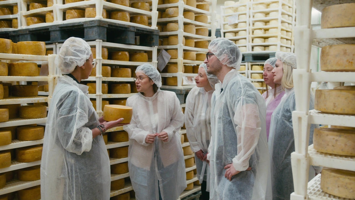 A Journey into the Heart of Flavor: Experience Guided Tours at Gligora Dairy