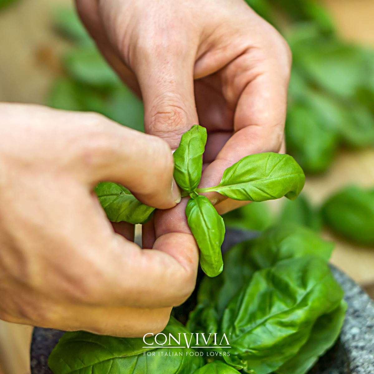 Pesto di basilico siciliano BIO, 190 g