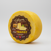 Young Trappist Cheese